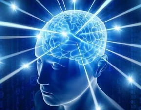 探秘人工智能的智慧边界 最新通用应用系统的深度解析