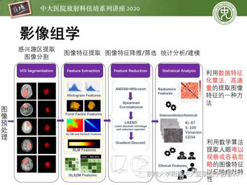 人工智能在医学影像中的应用 以神经系统为例构建通用诊断辅助系统